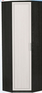 Шкаф для одежды угловой ДЛЯ ГОСТИНОЙ ШОУ-695 Венге/Дуб выбеленный в Игарке - igarka.mebel54.com | фото